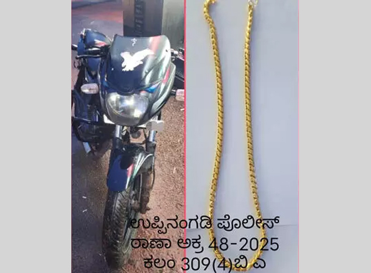 Thief arrest